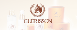 Guerisson